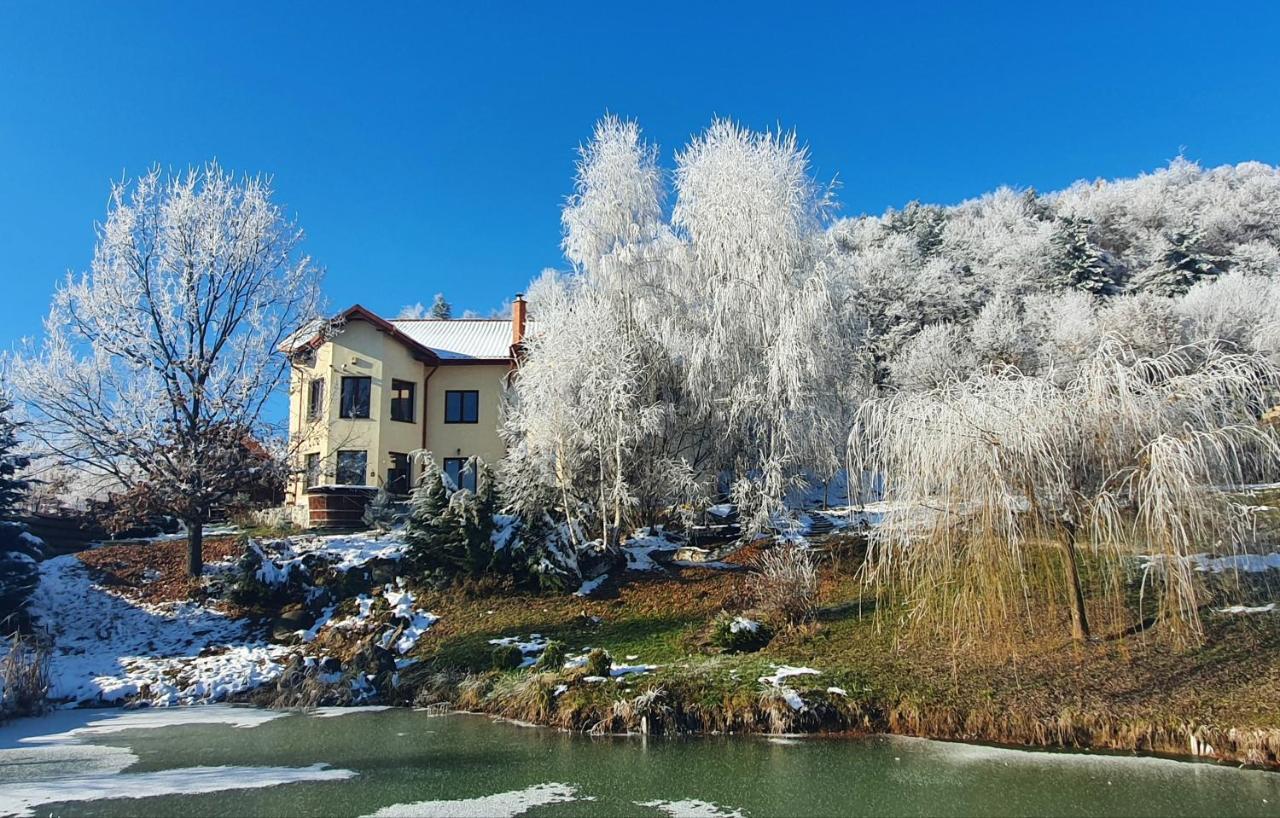 Trovanti Apartment Feleacu Zewnętrze zdjęcie