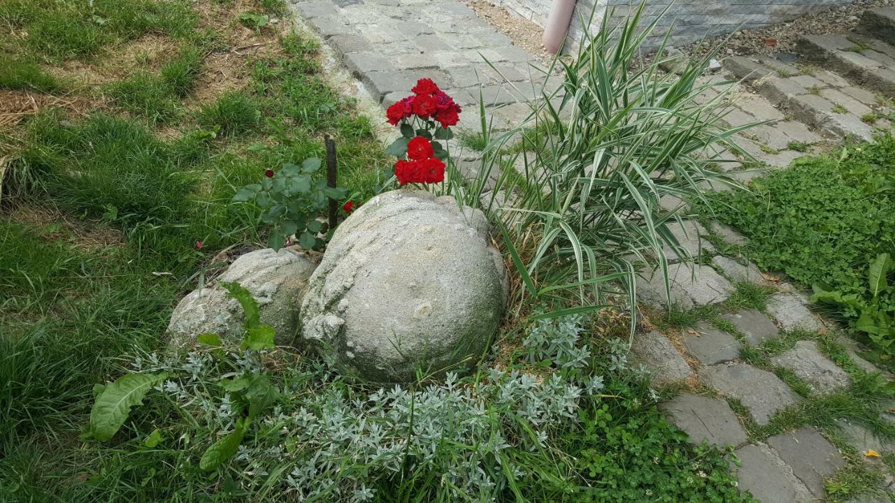 Trovanti Apartment Feleacu Zewnętrze zdjęcie